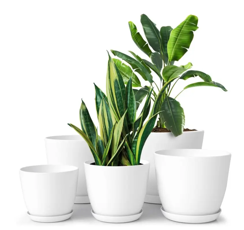 FOUKUS Set of 5 White Plastic Plant Pots with Drainage Holes and Tray - Eco-Friendly Indoor/Outdoor Flower Planters for Succulents, Cactus, Snake Plants - Sizes: 7", 6.6", 6", 5.3", 4.8"