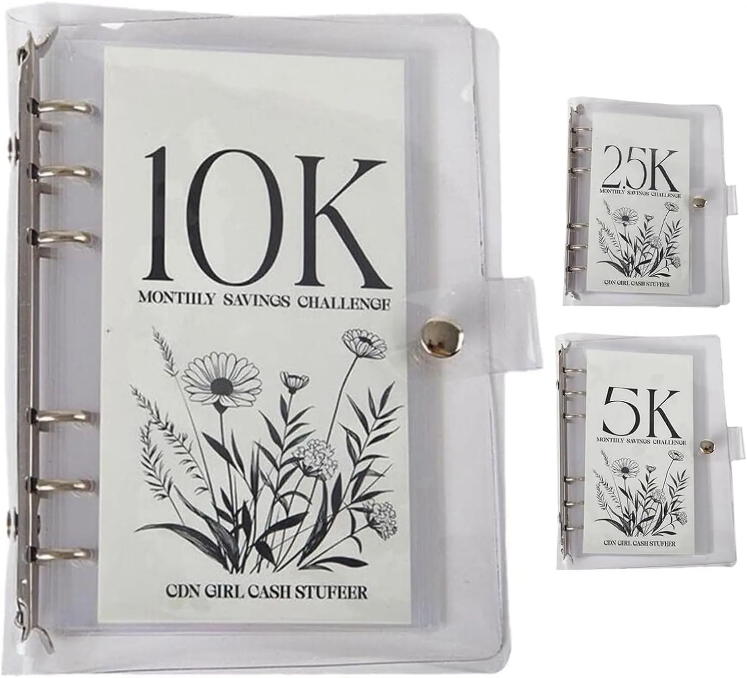 12-Month Envelopes Money Saving Challenge Binder,Budget Binder With Cash Envelopes,12 Month Savings Challenge,Money Saving Binder,Savings Binder,Easy and Funny Way to Save 2.5K/5K/10K Dollars (10k)