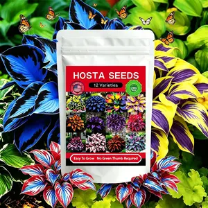 Mixed Hosta Seeds 12 Varieties 12000+Pcs hosta seed for Planting Outdoors, Rare Perennial Shade Garden Plants with Decorative Foliage