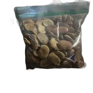 7pcs set Mojo beans, also known as African Wishing Beans, are small, glossy seeds traditionally used in Hoodoo, folk magic, and witchcraft for wishes, luck, money drawing, and protection.