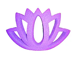 Introducing the Lotus Flower Bee Raft - Mobile Bee Watering Station Varroa Mite Monitoring Tool Bee Keeping Starter Kit with Hat Gloves