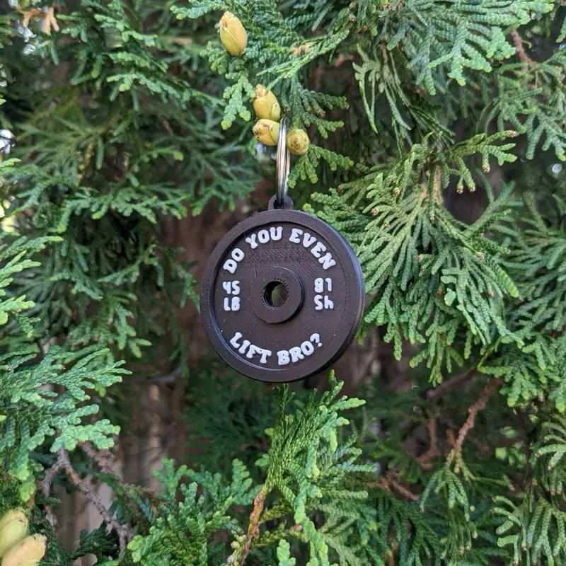 Gym Weight Plate Keychain “Do you even lift bro” funny 0 kg double sided fitness buddy gifts