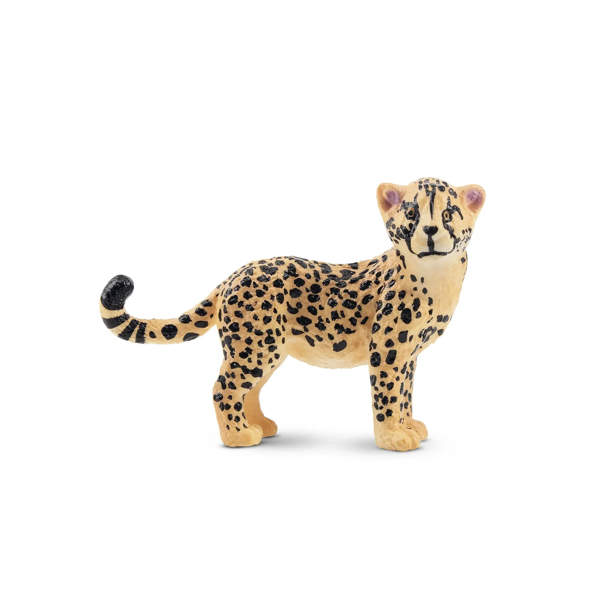 Toymany Hand-Painted Unisex Cheetah Cub Figurine - Realistic Animal Model, Ideal for Early Education, Montessori Sensory Play, Thoughtful Gifts for Enthusiasts & Decor Use (Desk, Home, Cake, Party)