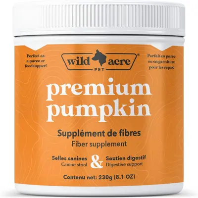 Cat Pumpkin Puree TikTok Shop