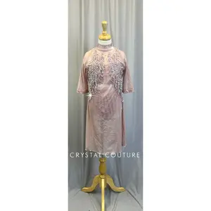 Custom Dusty Rose Mesh Dress with Matching Top and Briefs - Appliques Rhinestones