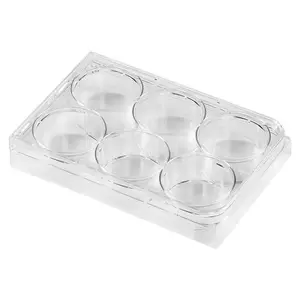 6 Well Culture Plate with Lid, Flat Bottom, Individual Pack (Pack of 10)