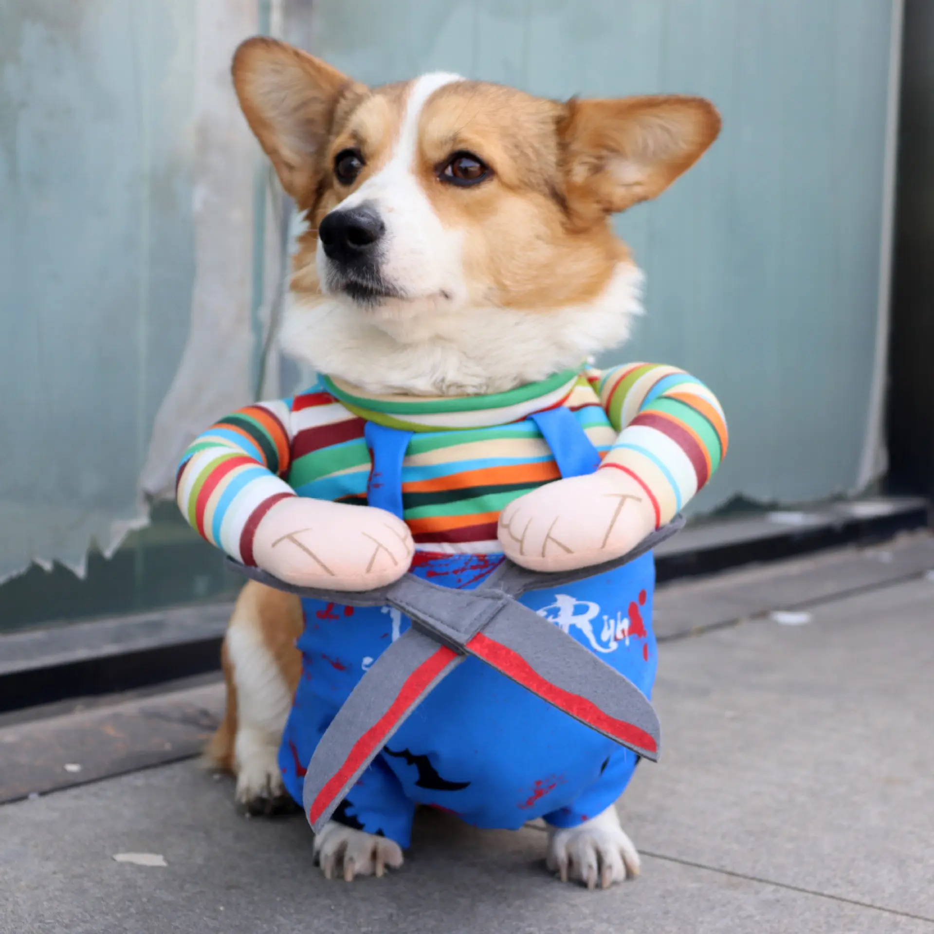 Scissorhand Dog Costume for Small Dogs, Funny Pet Cosplay Outfit with Fake Scissors, Halloween Cat Costume for Teddy Chihuahua