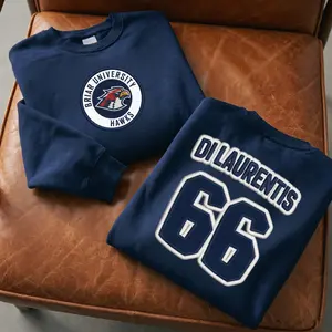 Briar University Di Laurentis 66 Sweatshirt, Briar U Embroidered Shirt, Off Campus Series Bookish Hoodie, Hockey Romance Sweatshirt Gift for Her