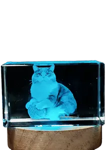 Customized 3D printing photo gift crystal