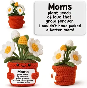 Summer Spring Gift Crochet Daisy Gift for Mom, Unique Handmade Flower Pot Present from Daughter Son or Family, Thoughtful Idea for Step Bonus Mom Mothers Day Birthday and Holiday Home Office Desk Decor