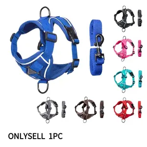 New Arrival Reflective Pet Harness and Leash Set, Anti-Pull Safety Design, Night Walking Vest Harness for Small Medium Cats Dogs