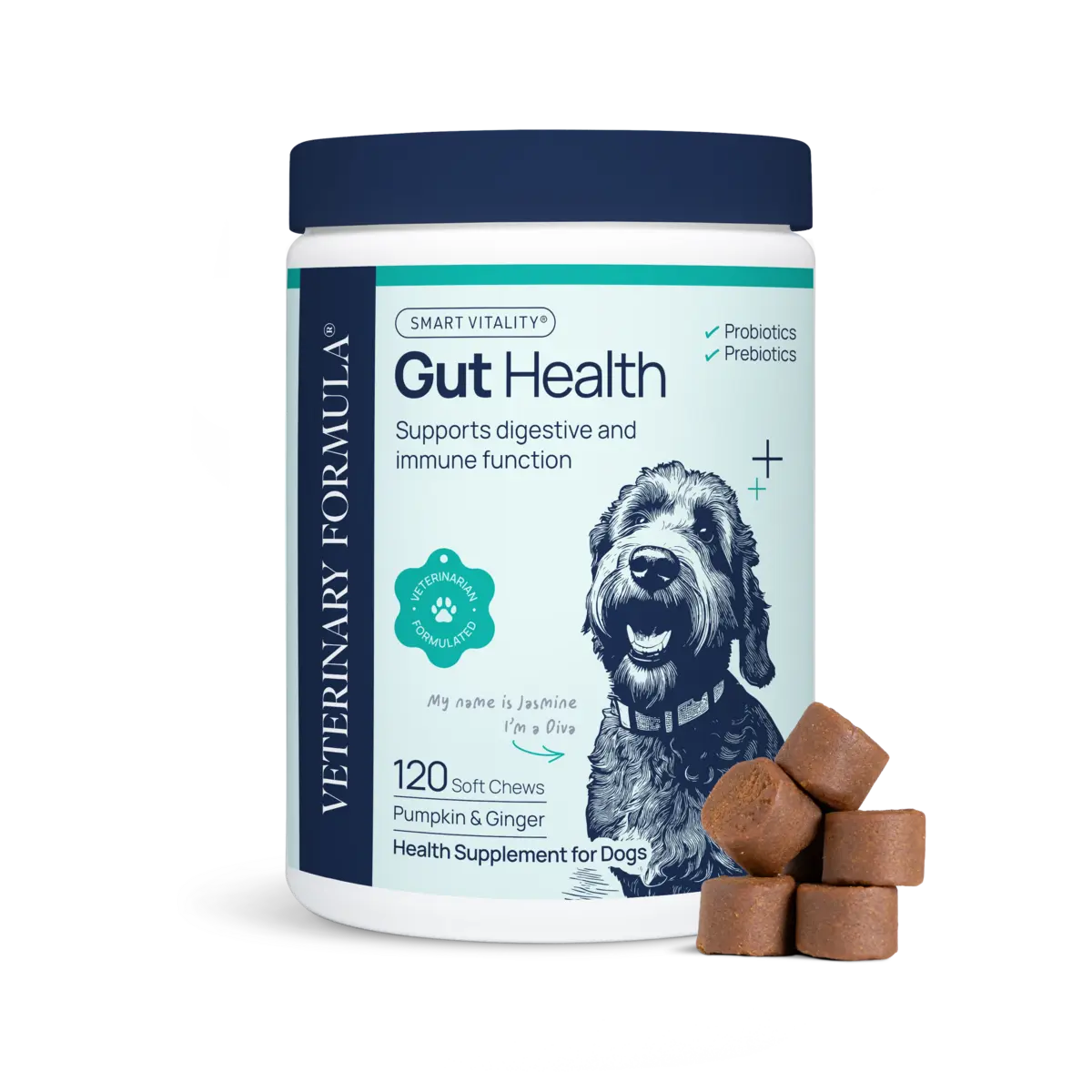Gut Health Supplement & Probiotics for Daily Digestive Support; Soft Chew for Dogs
