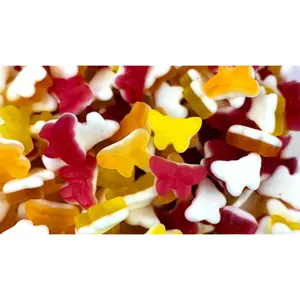 Duo Butterflies Duo Butterflies