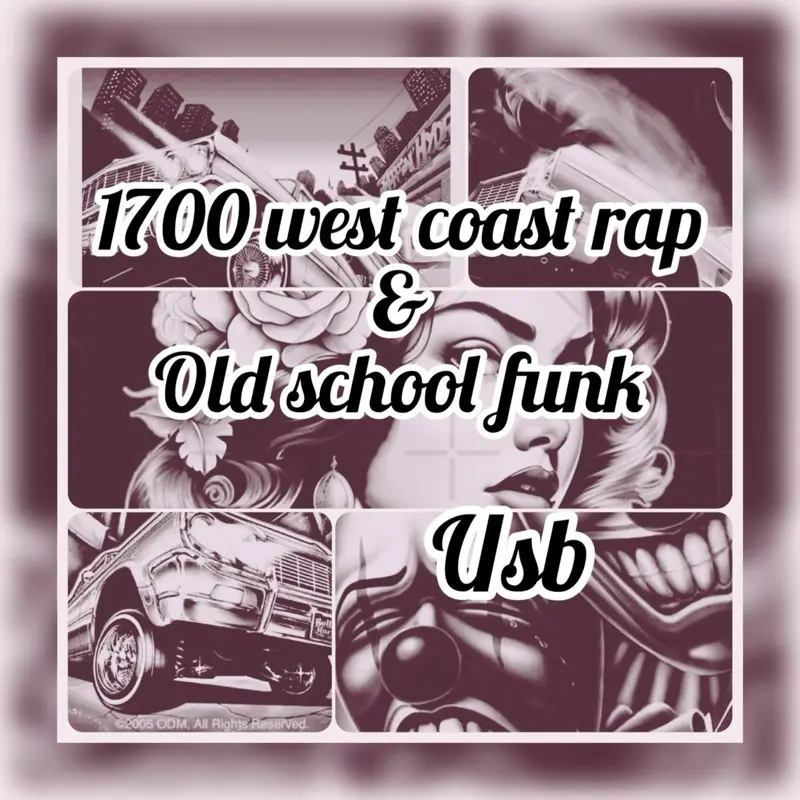 1700 west coast rap and funk music usb 1700 west coast rap and funk music usb