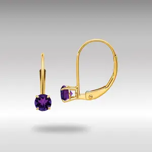 14K Gold Amethyst Leverback Earrings - February Model-XBE74