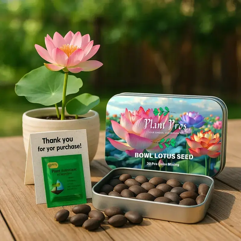 30 Pcs Mixed Color Bonsai Bowl Lotus SeedsBiodegradable Seed Greeting Card Set,Perfect for Indoor Bonsai,Outdoor Ponds,and Gardens Lotus Seed Bonsai Lotus Multi Color Min, Perfect for Father's Day gifts, 7 days germination