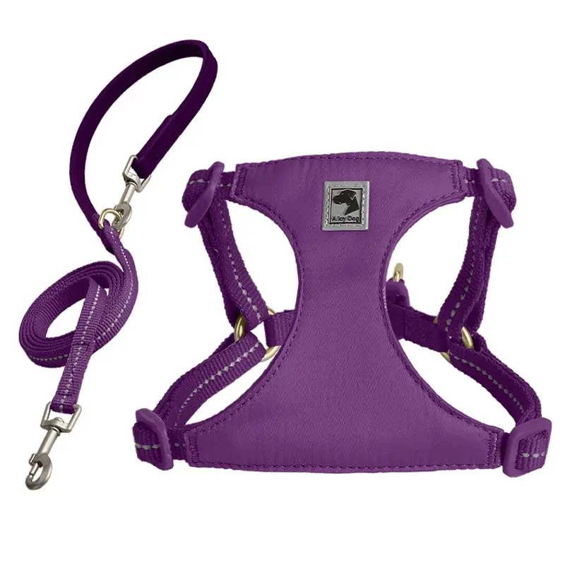 Roland Purple (chest and back + traction rope)