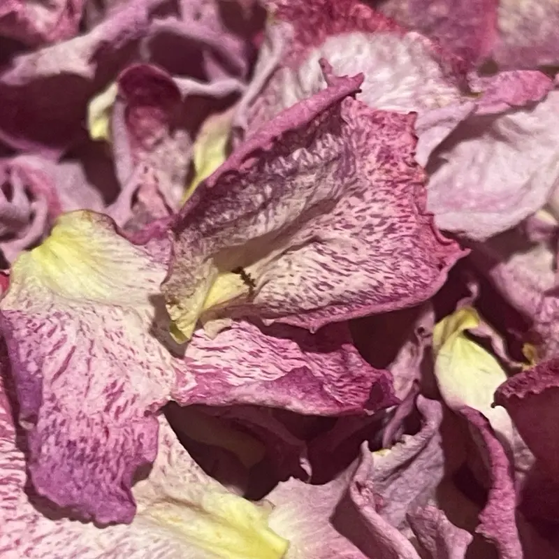 Nature Dried Rose Petals, Multi-Purpose DIY Craft Supplies