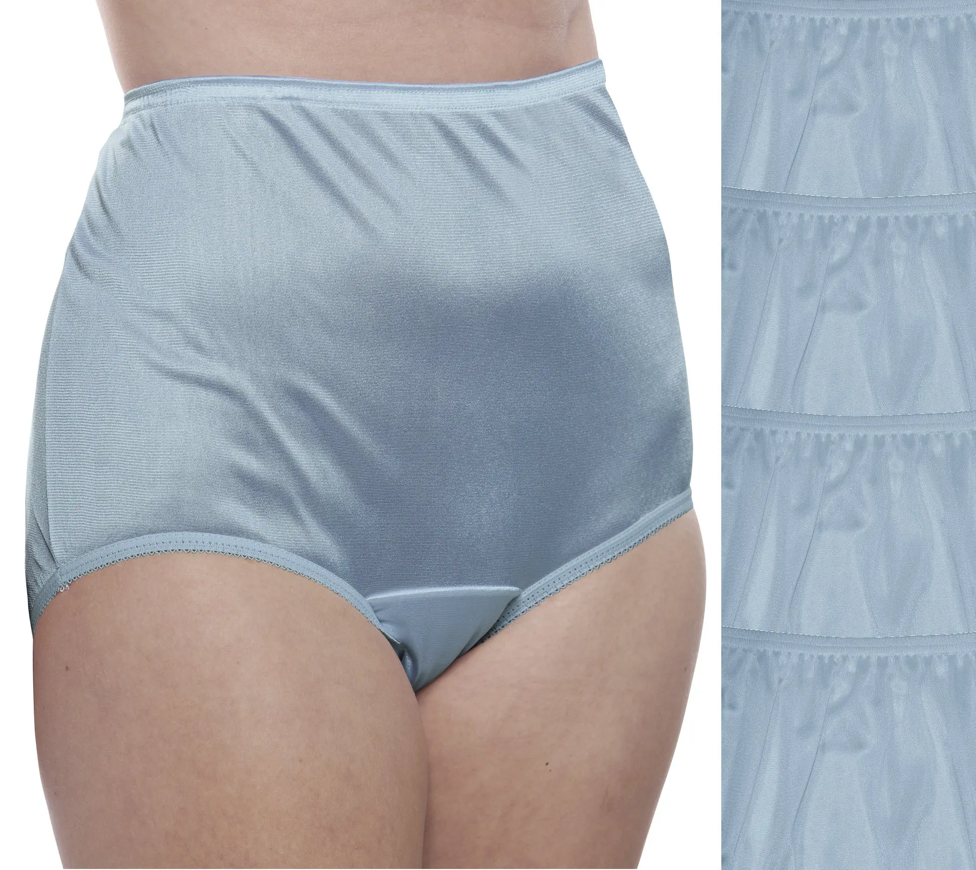 Nylon Brief Panty (Style 331/Plain Jane) 4 Pack in Dusty Blue