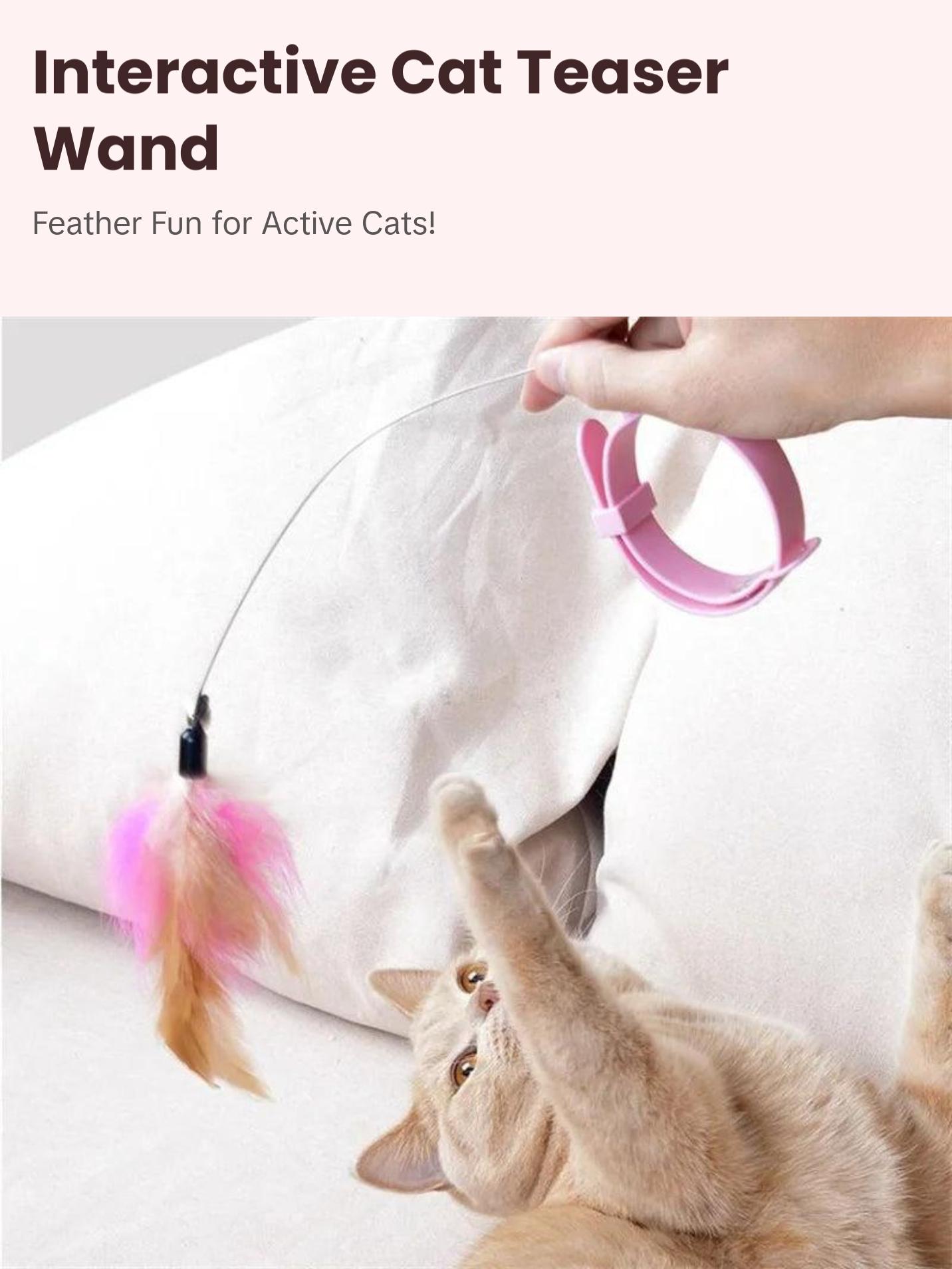 Feather Teaser Wand with Bell & Collar