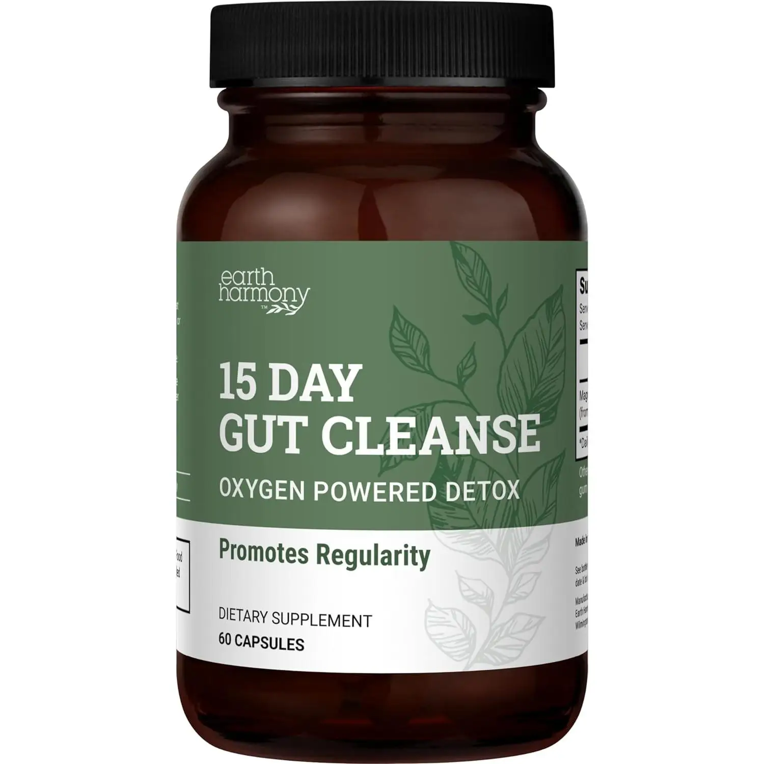 15 Day Gut Cleanse