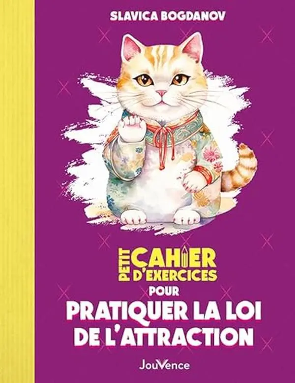 USED-Petit Cahier d'exercices pour pratiquer la loi de l'attraction by Slavica Bogdanov (Paperback)