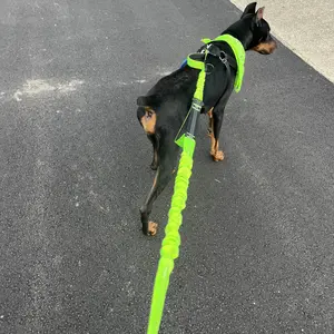 Product Review of iYoShop Hands Free Dog Leash with Zipper Pouch, Dual Padded Handles and Durable Bungee for Walking, Jogging and Running Your Dog from k**️