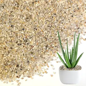 Sand Coarse Sand Real Silica Sand Vase Filler for  Decoration,Succulent ,2 LB