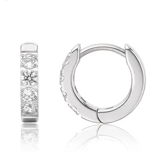 G23 Pure Titanium  Huggie Hoop Earrings for Women  Ears