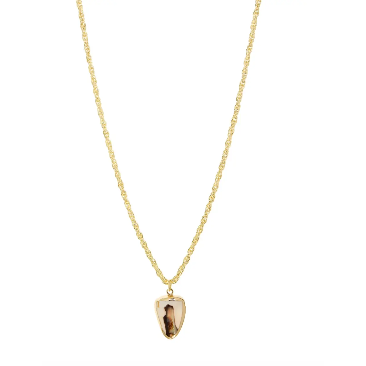 Gold Shark Tooth Pendant Necklace