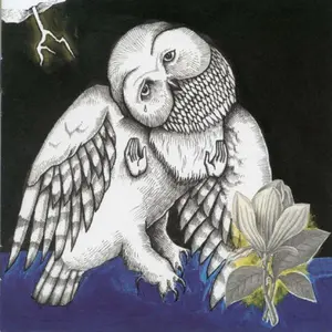 Songs: Ohia - Magnolia Electric Co.  [COMPACT DISC - CD]