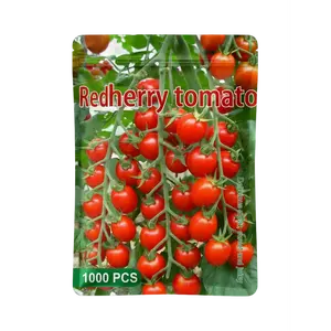 Waterfall Tomato Seeds - 1000 Heirloom Non-GMO High-Yield Variety - Spring Planting Guide Included for Home Gardens & Balconies - Space-Efficient & Adaptable - Perfect Gardening Gift