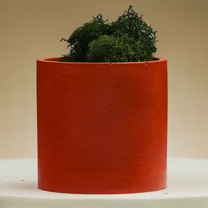 Small Concrete Planters