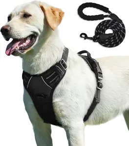 Dog Harness for Medium and Large Dogs, Anti-Pull Chest & No-Pull Safety Harness with 2 Leash Clips and a Leash, Dog walk front clip & Back Clip night