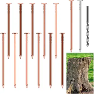 14Pcs Copper Nails Kit to Killing Trees,Includes 12PCS 3.5 Inch Pure Copper Nails Bulk,Stump Removal Spikes Hardware Nails for Trees, Stumps,Landscaping, and Hobbies