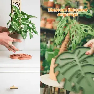 Tera™ Sausr™ - Leaf-shaped Pot Saucer - Drip tray for houseplants - Humidity tray