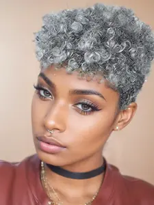 Women's Kinky Curly Hair Wig, Silver Color Mixed Short Style Headwear, European & American Best-Selling Fake Hairpiece, Kinky Curly Wigs