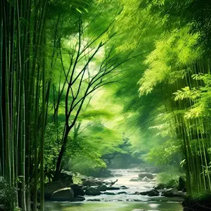 background preload poster image 