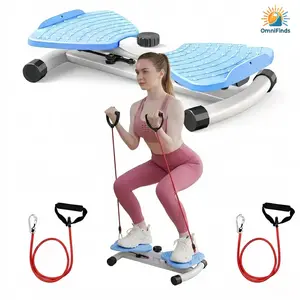 Adjustable Stepper Waist Twister Board Core Strength Training Ab Machine With Weights Silent Non Slip Foot Massage Portable Aerobic Workout Daily Home Fitness Equipment