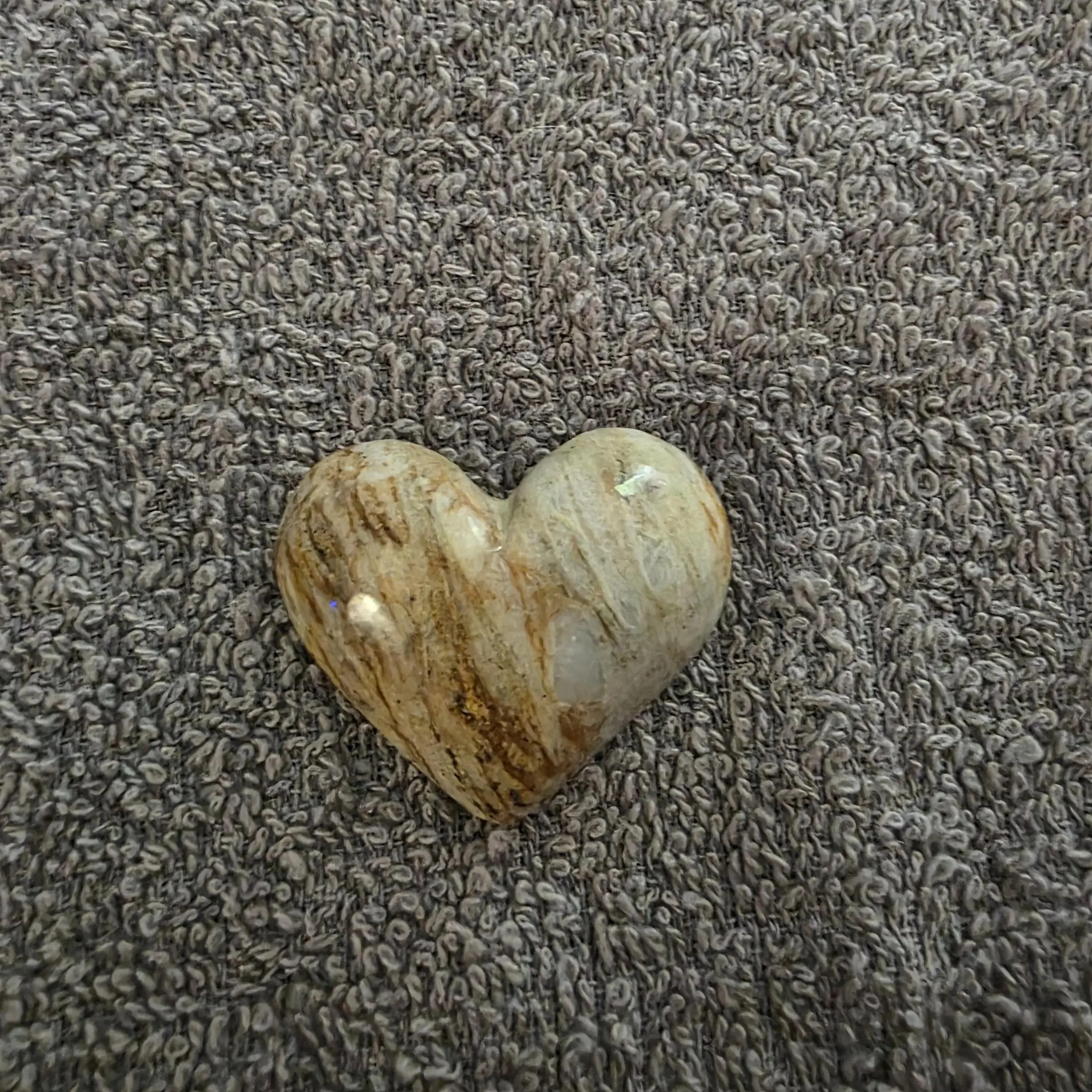 Heart Shaped Petrified Wood Cabochon