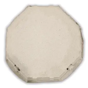 *12-Egg Carton Octagon