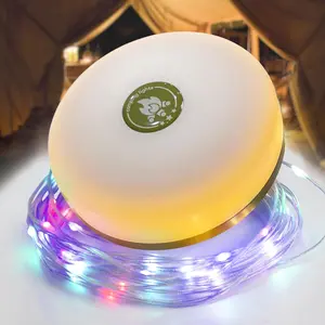 Camping Lights String: Outdoor String Lights with 5 Lighting Modes - Quick 30s Recovery Durable and Waterproof - USB Charging Portable Camping Lights for Camping/Yard/and Hiking - 2PACK