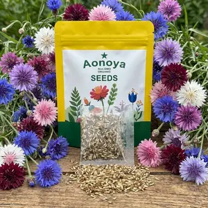 800 Cornflower Garden Seeds – Low-Maintenance Blooms for Rustic & Pollinator Gardens (Seeds Only)