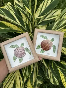 Shell Love – Handmade 5x5 Shadow Box with Watercolor Turtle & Seashell