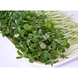 Organic Pea Shoots