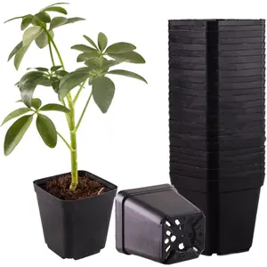 50 Packs Square  Pots for  2.8 Inch Succulent  Pots Set Plastic Seedling Starting Pots with Drainage Holes  Pots Variety Pack Flower pots Planter Seed Starter, Black