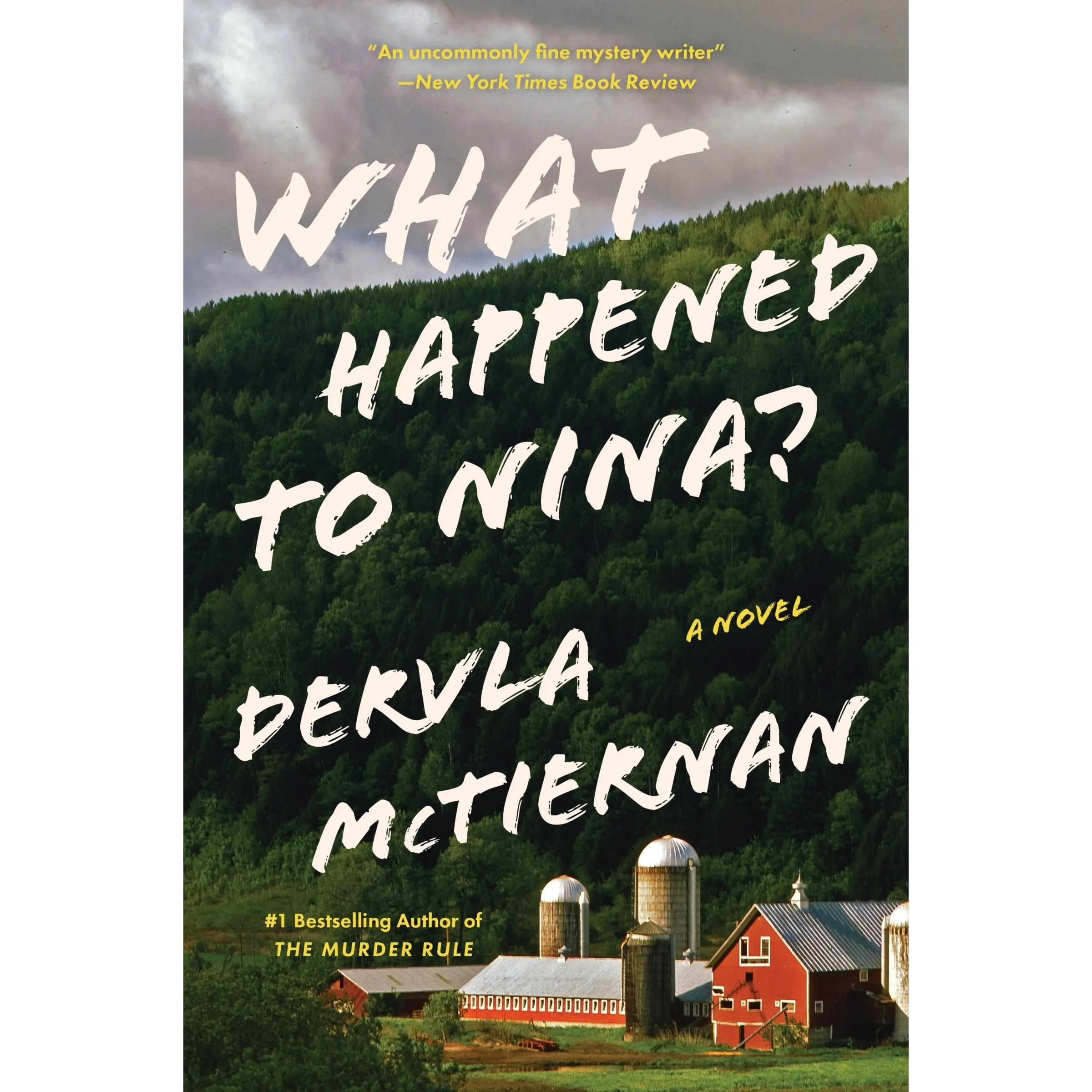 What Happened to Nina?: A Novel by Dervla McTiernan [Paperback Book]