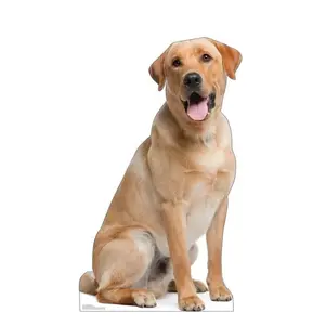 Advanced Graphics  45 x 26 in. Labrador Retriever Life-Size Cardboard Cutout