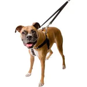 Black Freedom No-Pull Harness