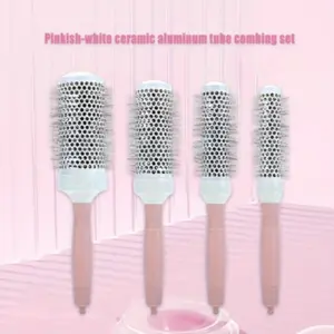 4pcs Hair Styling Rollers Comb Set, Anti-Static Wet & Dry Use, Home Travel Essential, Professional Curling Brush Tool